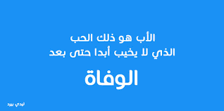 وكالة كيفة للأنباء